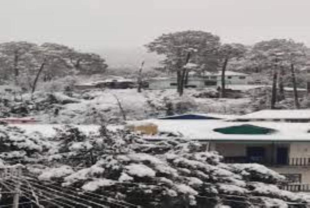Oak Wood Homestay Banikhet Dalhousie Bagian luar foto