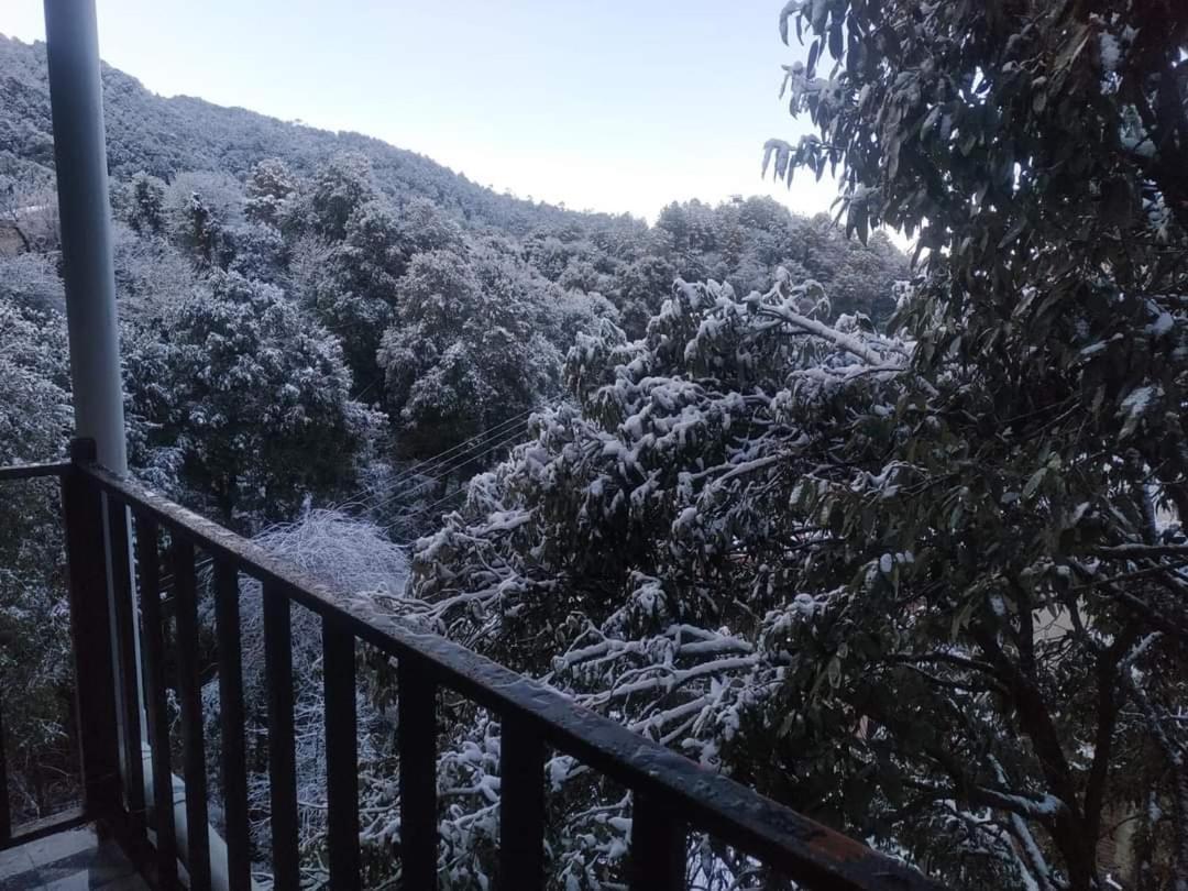 Oak Wood Homestay Banikhet Dalhousie Bagian luar foto